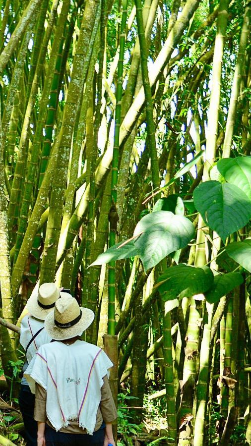 Finca Del Cafe - Casa Typica 圣罗莎德卡瓦尔 外观 照片