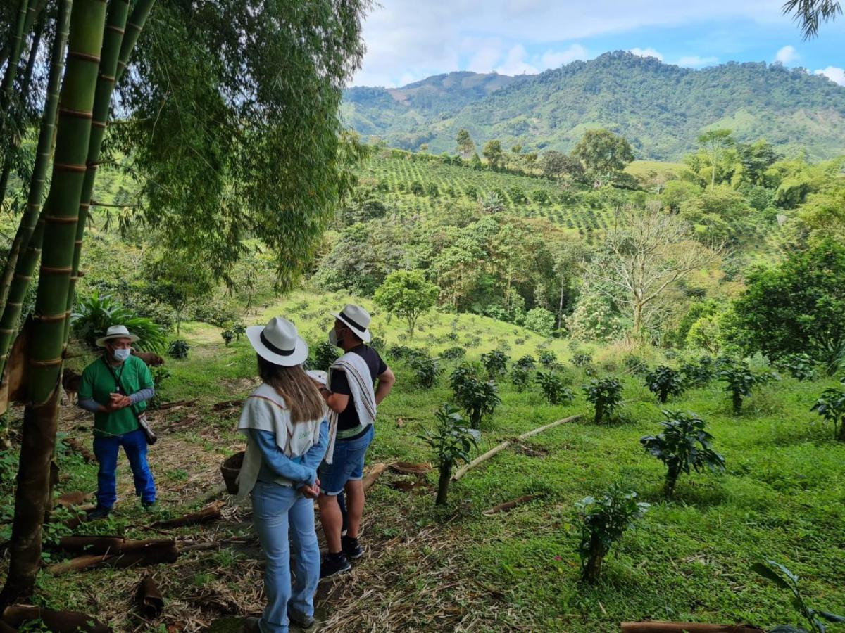 Finca Del Cafe - Casa Typica 圣罗莎德卡瓦尔 外观 照片